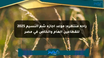 راحة منتظرة: موعد إجازة شم النسيم 2025 للقطاعين العام والخاص في مصر